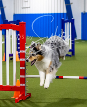 2025-7-12-July-Trial-240