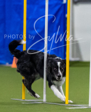 2025-7-12-July-Trial-245