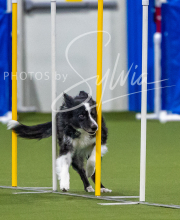 2025-7-12-July-Trial-249