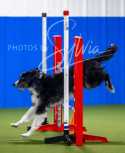 2025-7-12-July-Trial-255