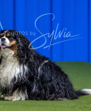 2025-7-12-July-Trial-256