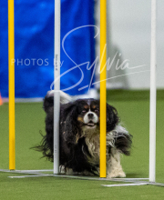 2025-7-12-July-Trial-257