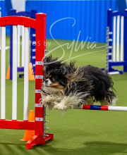 2025-7-12-July-Trial-265