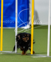 2025-7-12-July-Trial-271