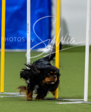 2025-7-12-July-Trial-272