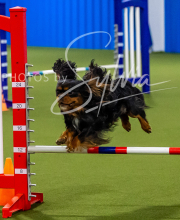 2025-7-12-July-Trial-279