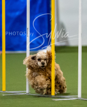 2025-7-12-July-Trial-283