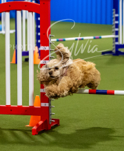 2025-7-12-July-Trial-290