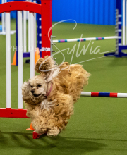 2025-7-12-July-Trial-291