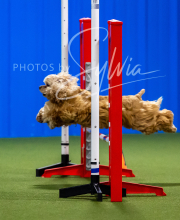 2025-7-12-July-Trial-293