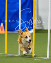 2025-7-12-July-Trial-296