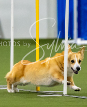 2025-7-12-July-Trial-300