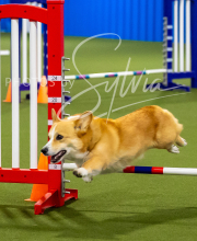 2025-7-12-July-Trial-304