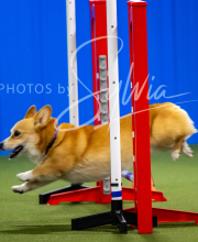 2025-7-12-July-Trial-306