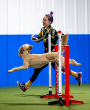 2025-7-12-July-Trial-31-2