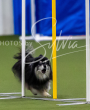 2025-7-12-July-Trial-313