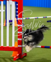 2025-7-12-July-Trial-316