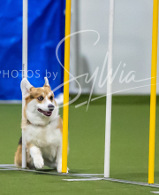 2025-7-12-July-Trial-319