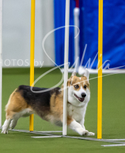 2025-7-12-July-Trial-324