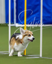 2025-7-12-July-Trial-327