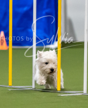 2025-7-12-July-Trial-330