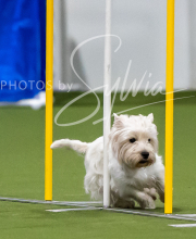 2025-7-12-July-Trial-332