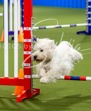 2025-7-12-July-Trial-338