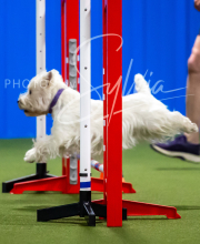 2025-7-12-July-Trial-339