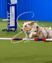 2025-7-12-July-Trial-34