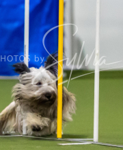 2025-7-12-July-Trial-340