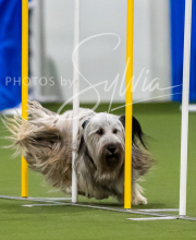 2025-7-12-July-Trial-342