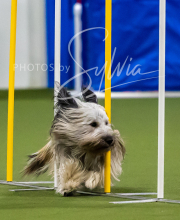 2025-7-12-July-Trial-345