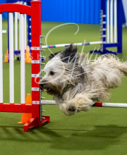 2025-7-12-July-Trial-347