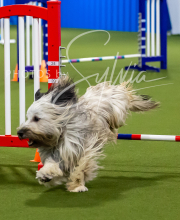 2025-7-12-July-Trial-348