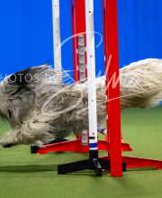 2025-7-12-July-Trial-350