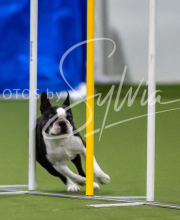 2025-7-12-July-Trial-363