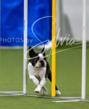 2025-7-12-July-Trial-364