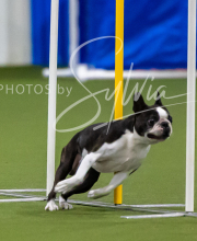 2025-7-12-July-Trial-366