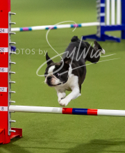 2025-7-12-July-Trial-372