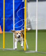 2025-7-12-July-Trial-374