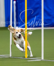 2025-7-12-July-Trial-380