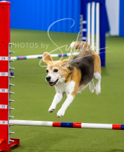 2025-7-12-July-Trial-383