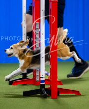 2025-7-12-July-Trial-384