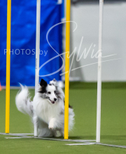 2025-7-12-July-Trial-385