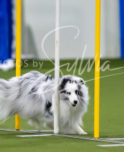 2025-7-12-July-Trial-388