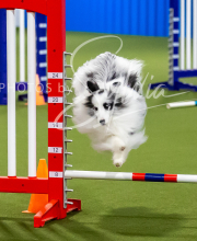 2025-7-12-July-Trial-394