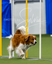 2025-7-12-July-Trial-40