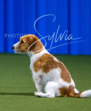 2025-7-12-July-Trial-400