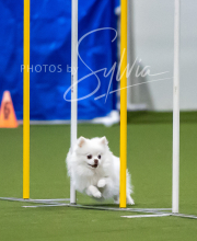 2025-7-12-July-Trial-402