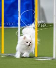 2025-7-12-July-Trial-403